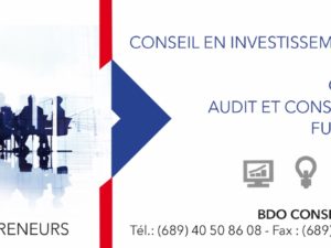 BDO Conseil