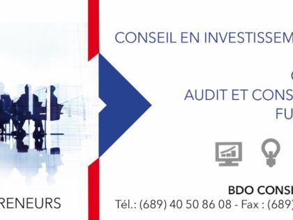 BDO Conseil